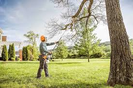 Best Tree Maintenance Programs  in Wappingers Falls, NY