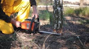 Best Leaf Removal  in Wappingers Falls, NY