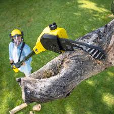 Best Lawn Grading and Leveling  in Wappingers Falls, NY