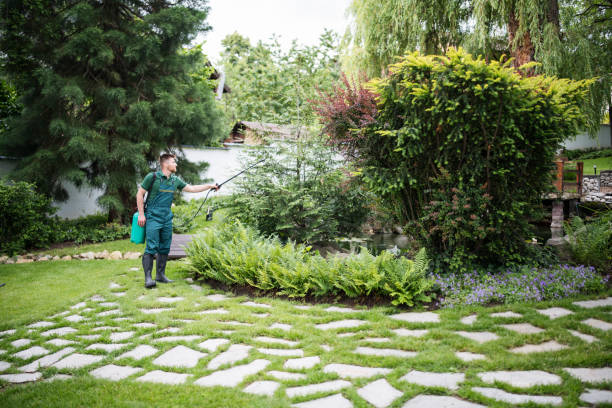 How Our Tree Care Process Works  in  Wappingers Falls, NY