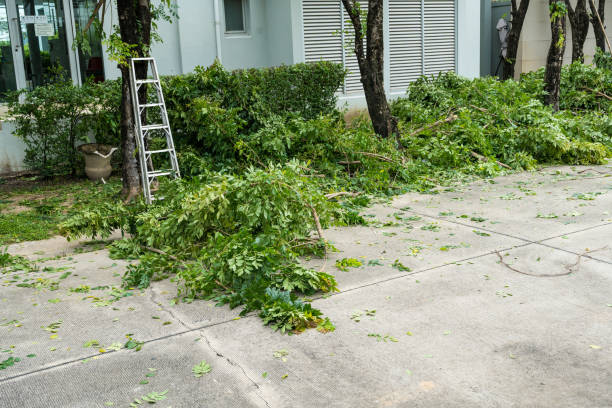 Best Storm Damage Tree Cleanup  in Wappingers Falls, NY