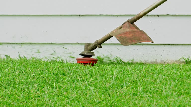 Best Lawn Drainage Solutions  in Wappingers Falls, NY